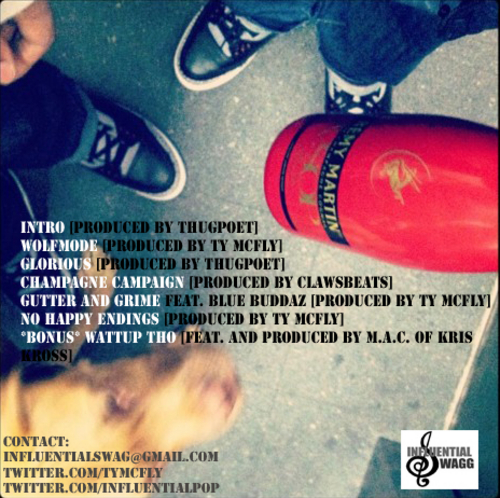 00 - PIR_TY_McFLY_HOLLYWOOD_POP_The_Rap_Sheet-back-large