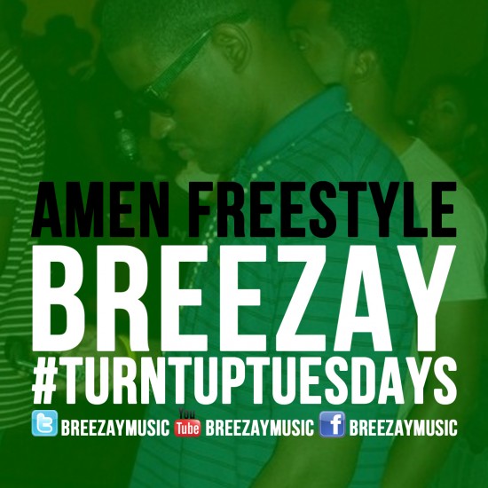 BREEZAY ARTWORK 7