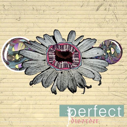 Perfect Disorder(Cover)