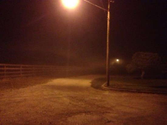 KidStupid “Goldie I” [DON’T SLEEP!]