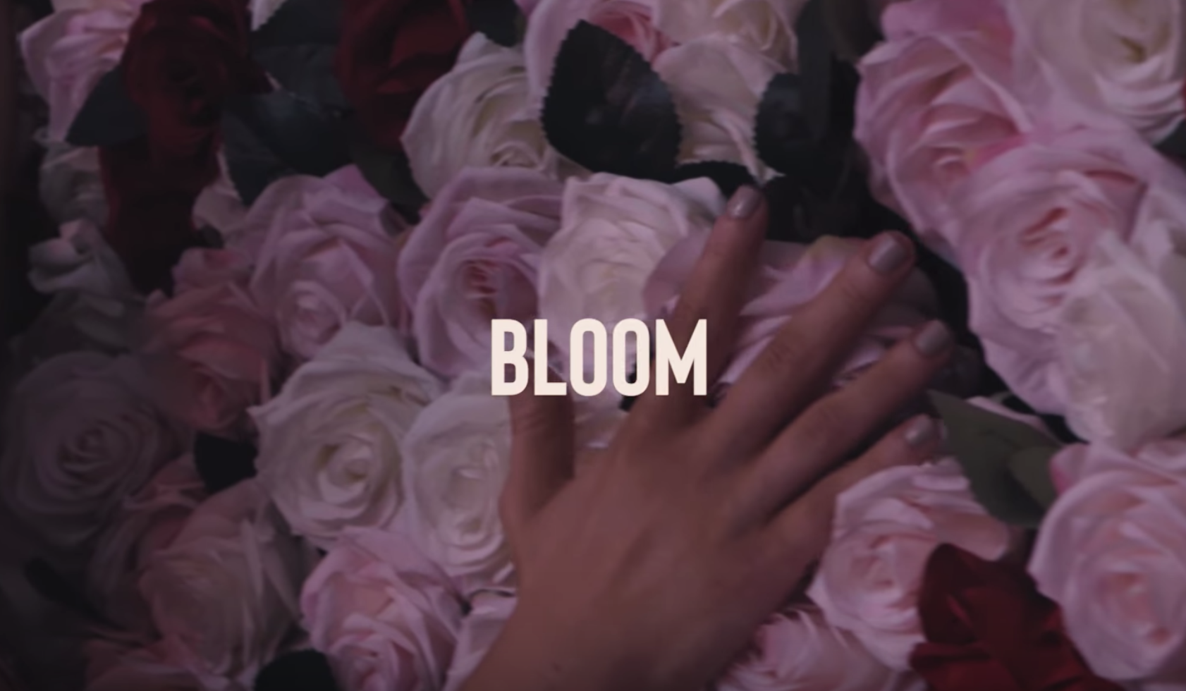 Duelle – “Bloomâ€