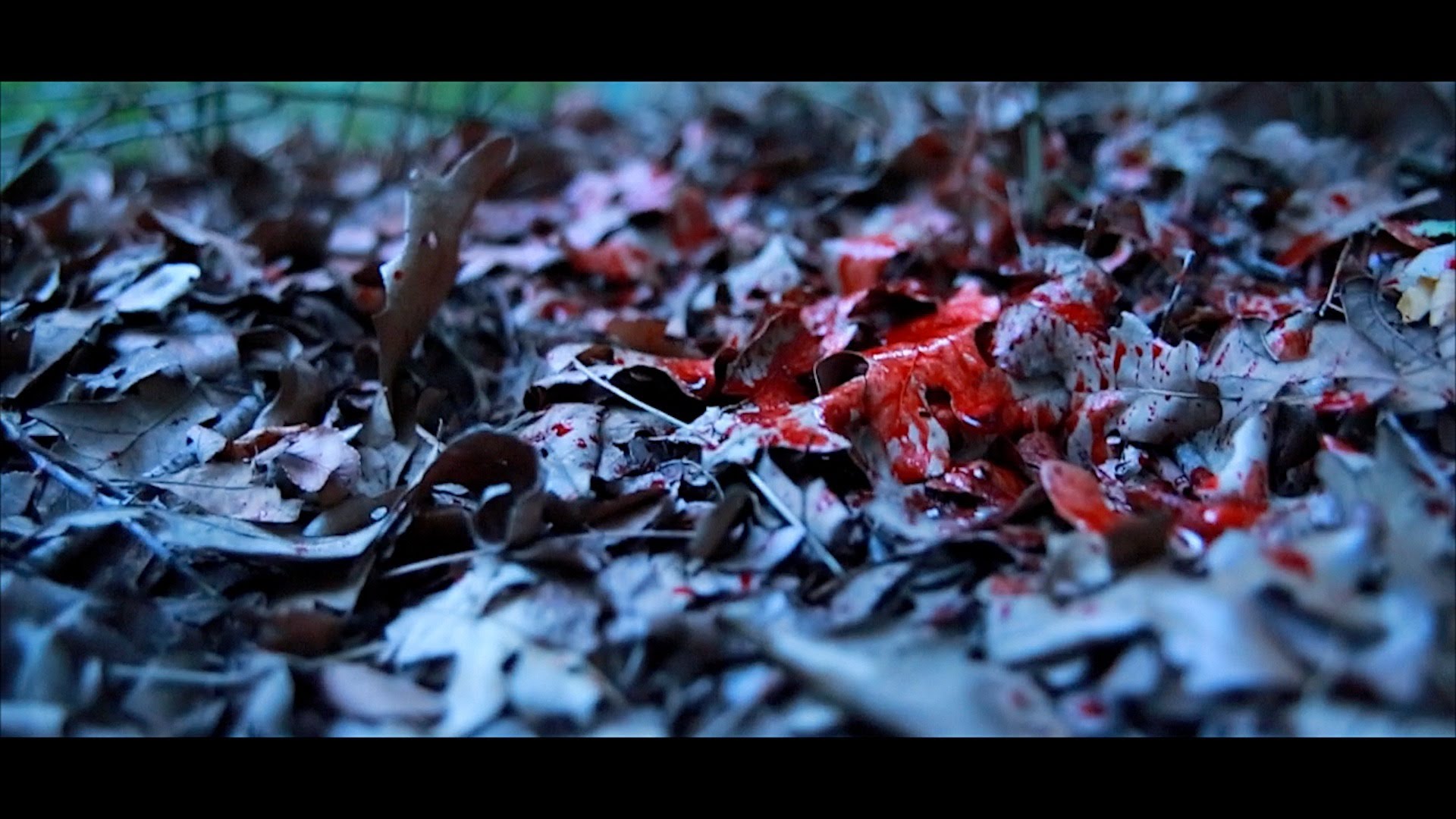 Blake T “Blood On The Leaves” [VIDEO]